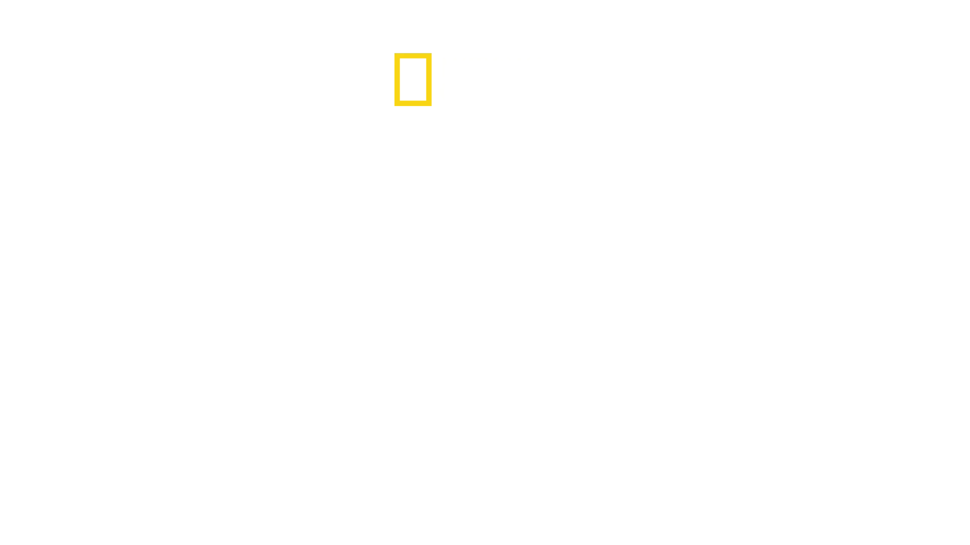 Control de aeropuertos: USA