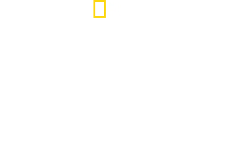 Mandíbulas à Espreita