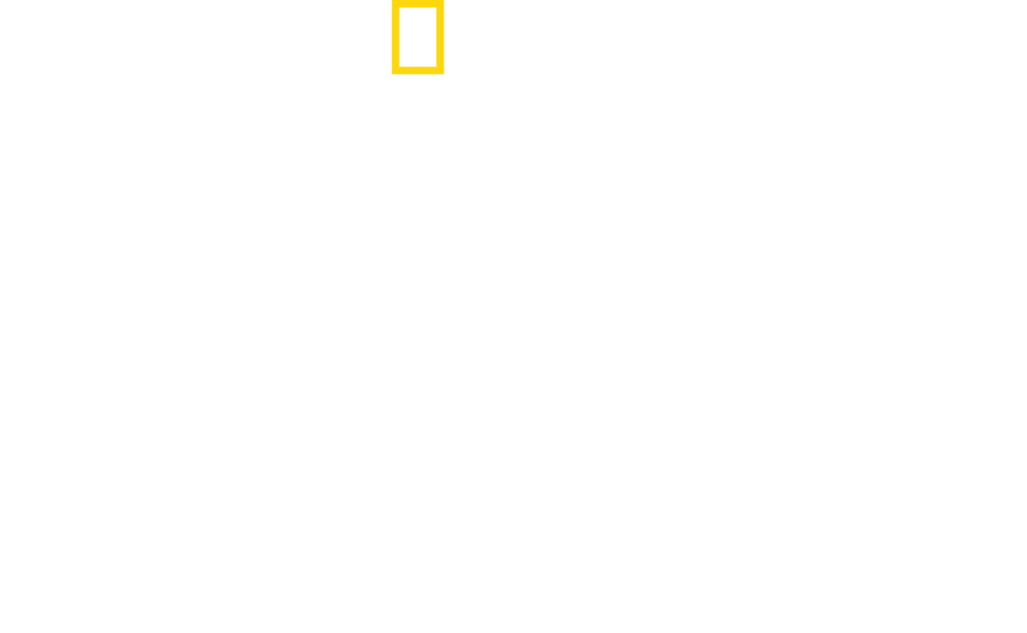 Mandíbulas à Espreita