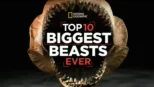 thumbnail - Top 10 Biggest Beasts Ever