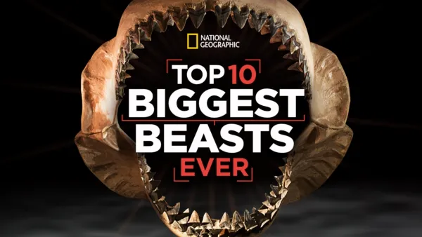 thumbnail - Top 10 Biggest Beasts Ever