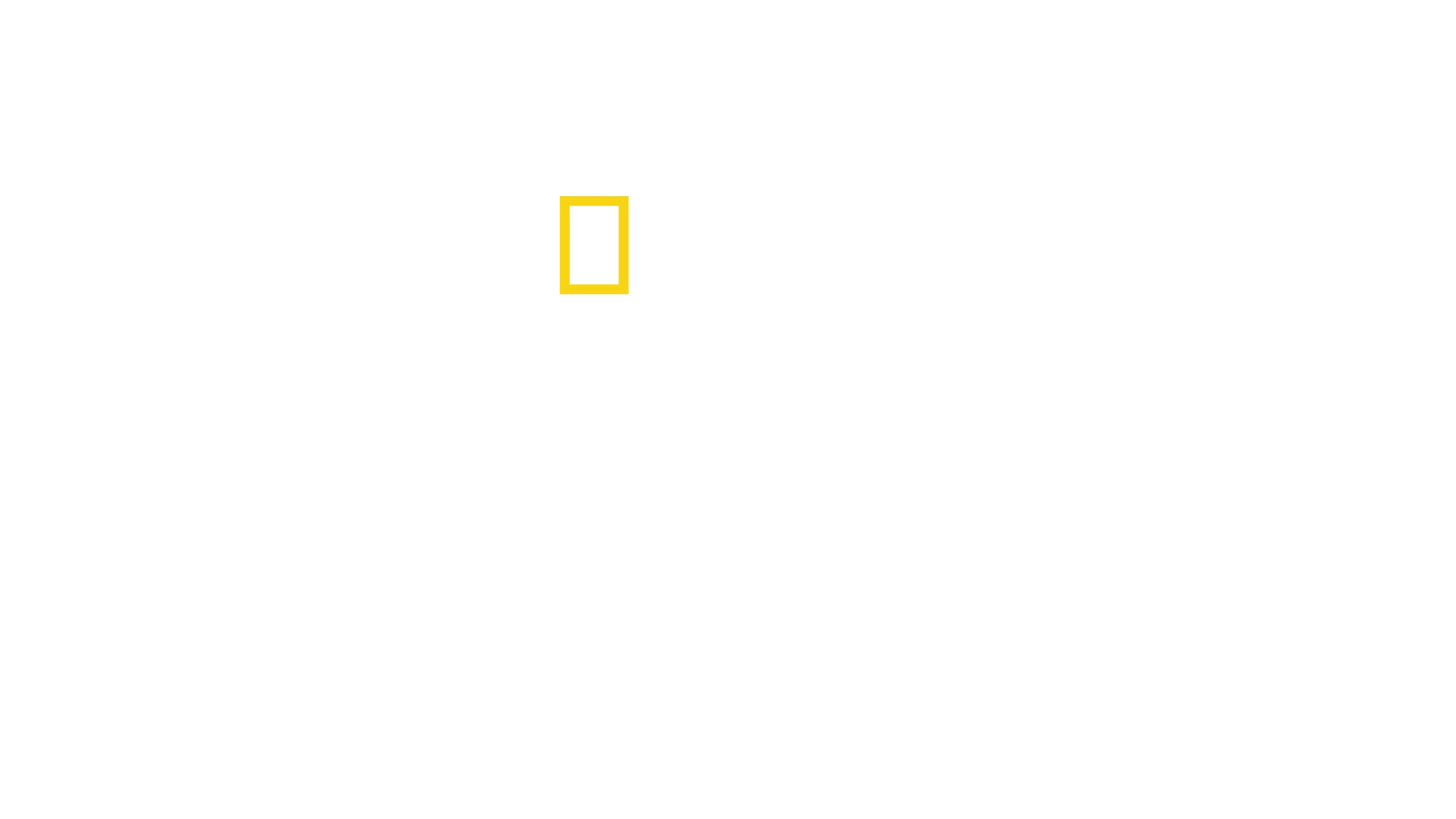 鲨鱼争霸战