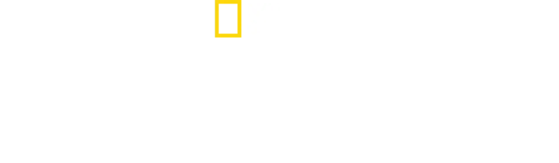 鲨鱼争霸战