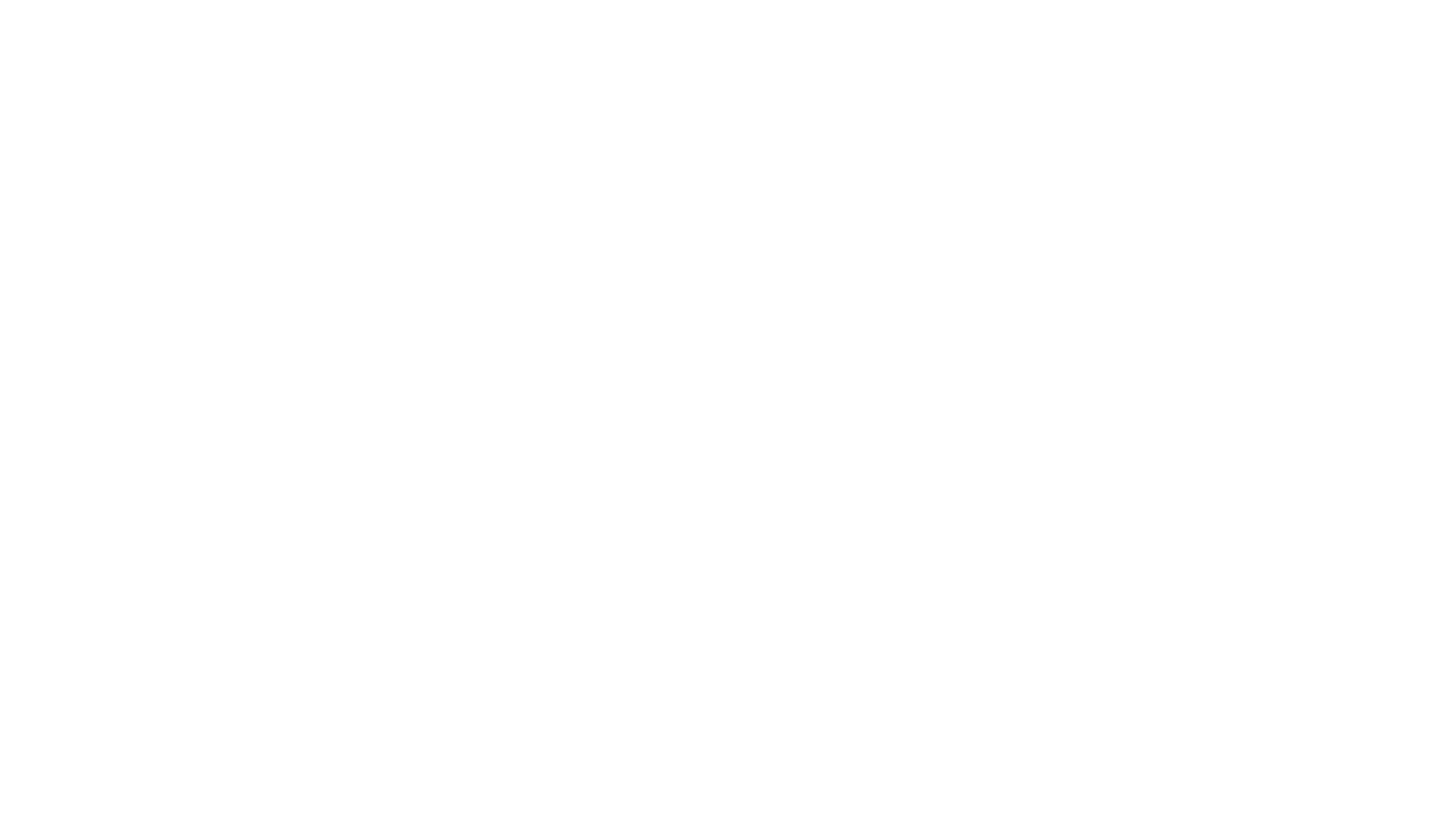 The Mick