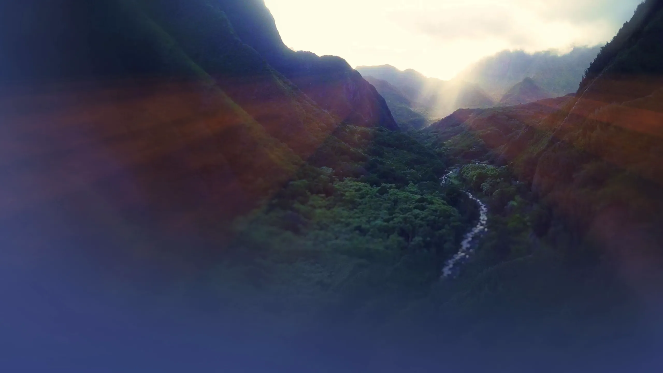 Maui Rising: The Fight For Hawaii's Future