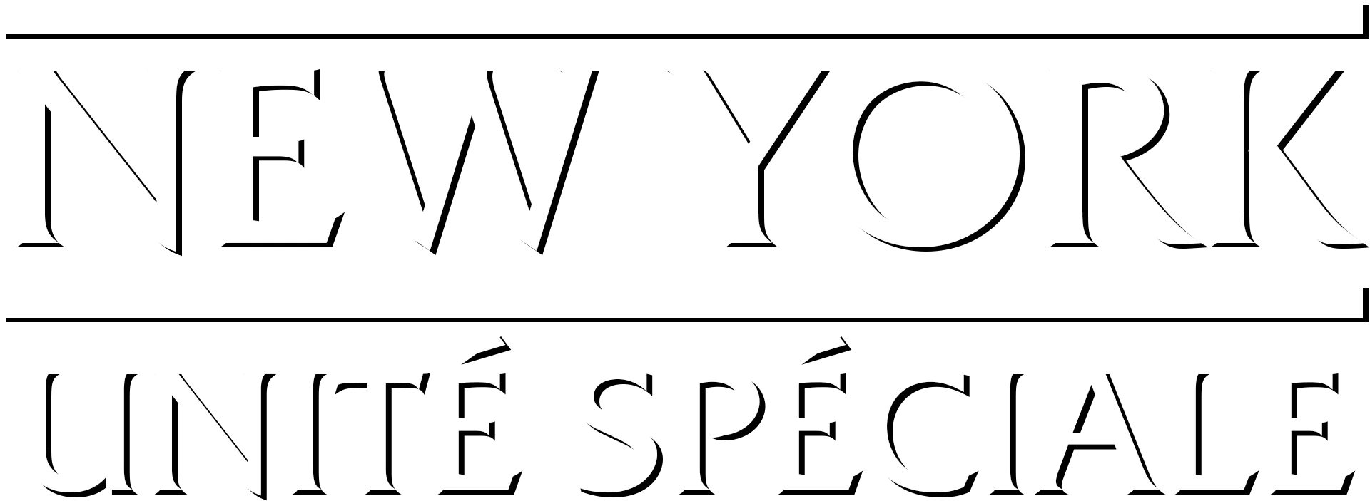New York Unité Spéciale
