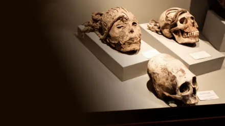 Las Líneas de Nasca