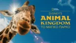 thumbnail - Disney’s Animal Kingdom: Το Μαγικό Πάρκο