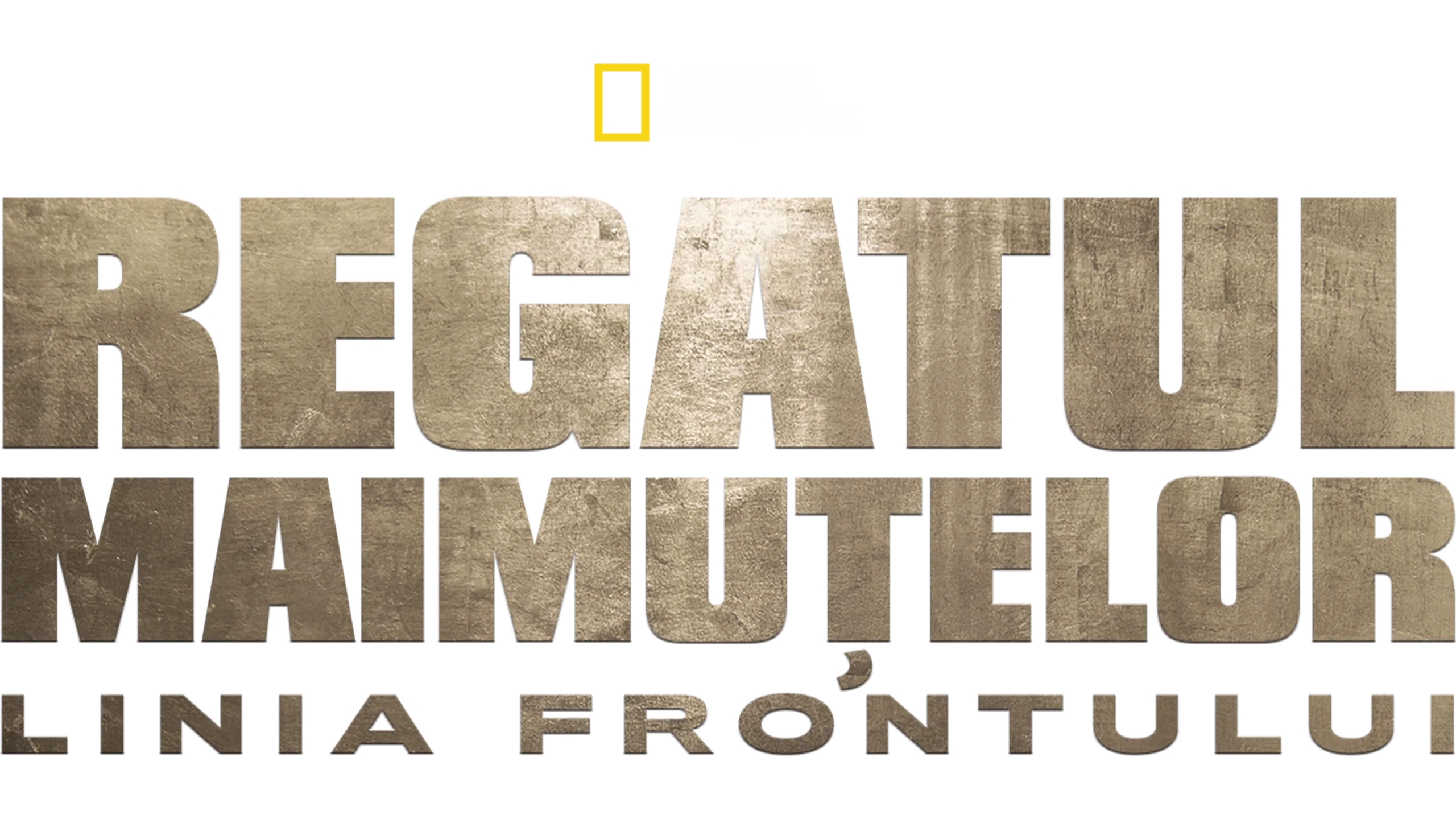 Regatul maimuțelor: Linia frontului