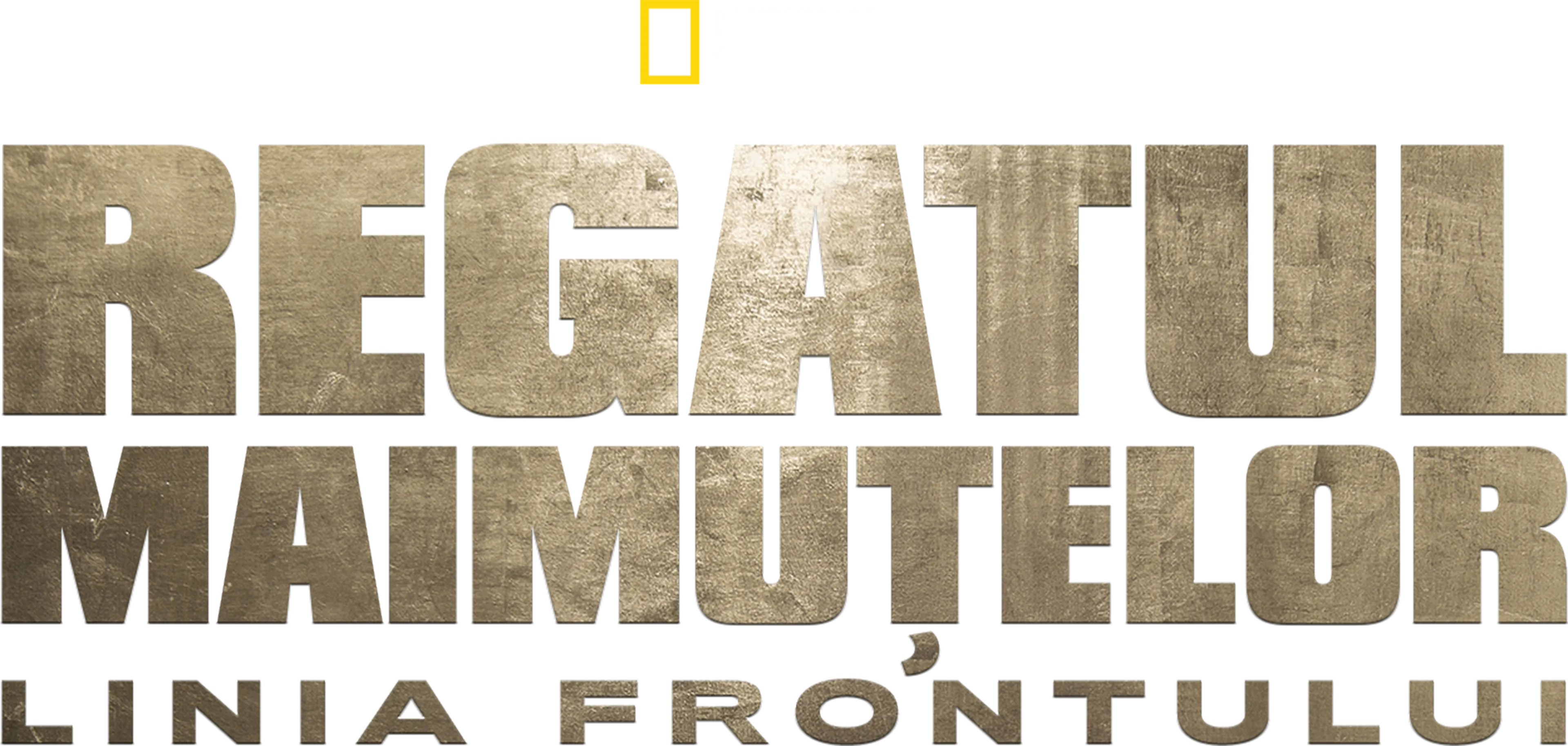 Regatul maimuțelor: Linia frontului