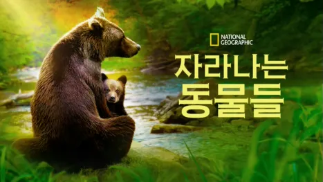 thumbnail - 자라나는 동물들