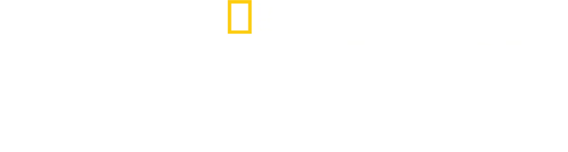 狂野人生