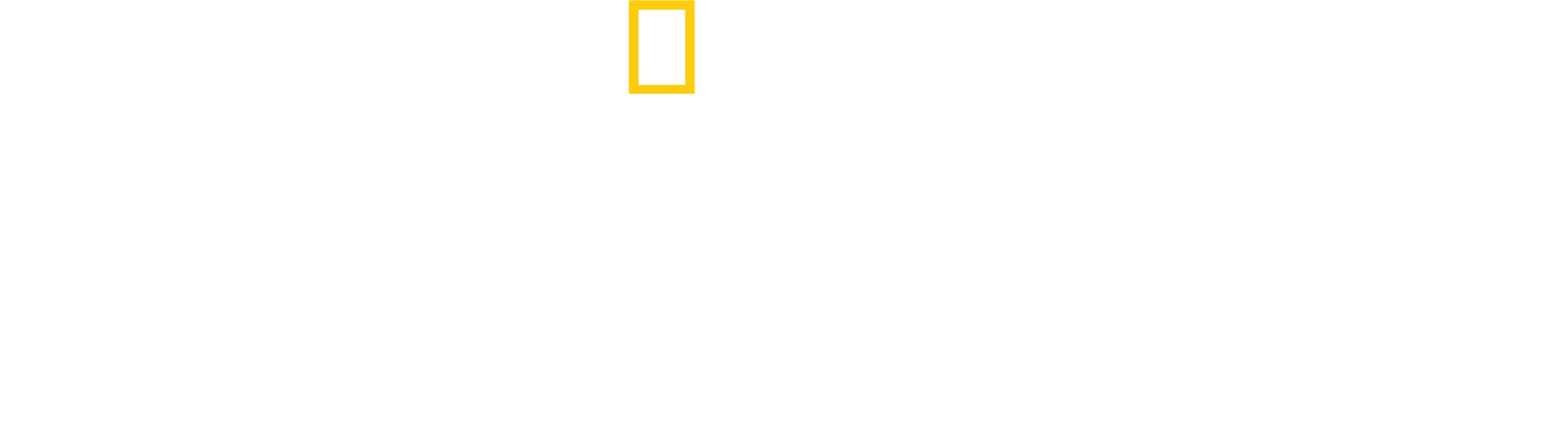 狂野人生