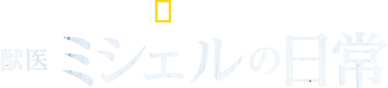 獣医ミシェルの日常