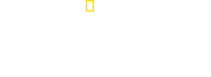 Os Tubarões Mais Perigosos