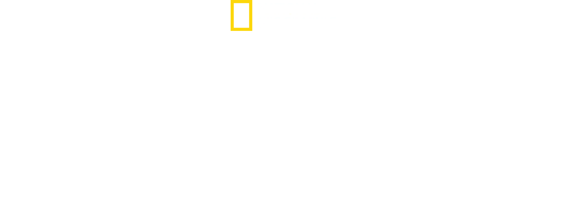 Os Tubarões Mais Perigosos
