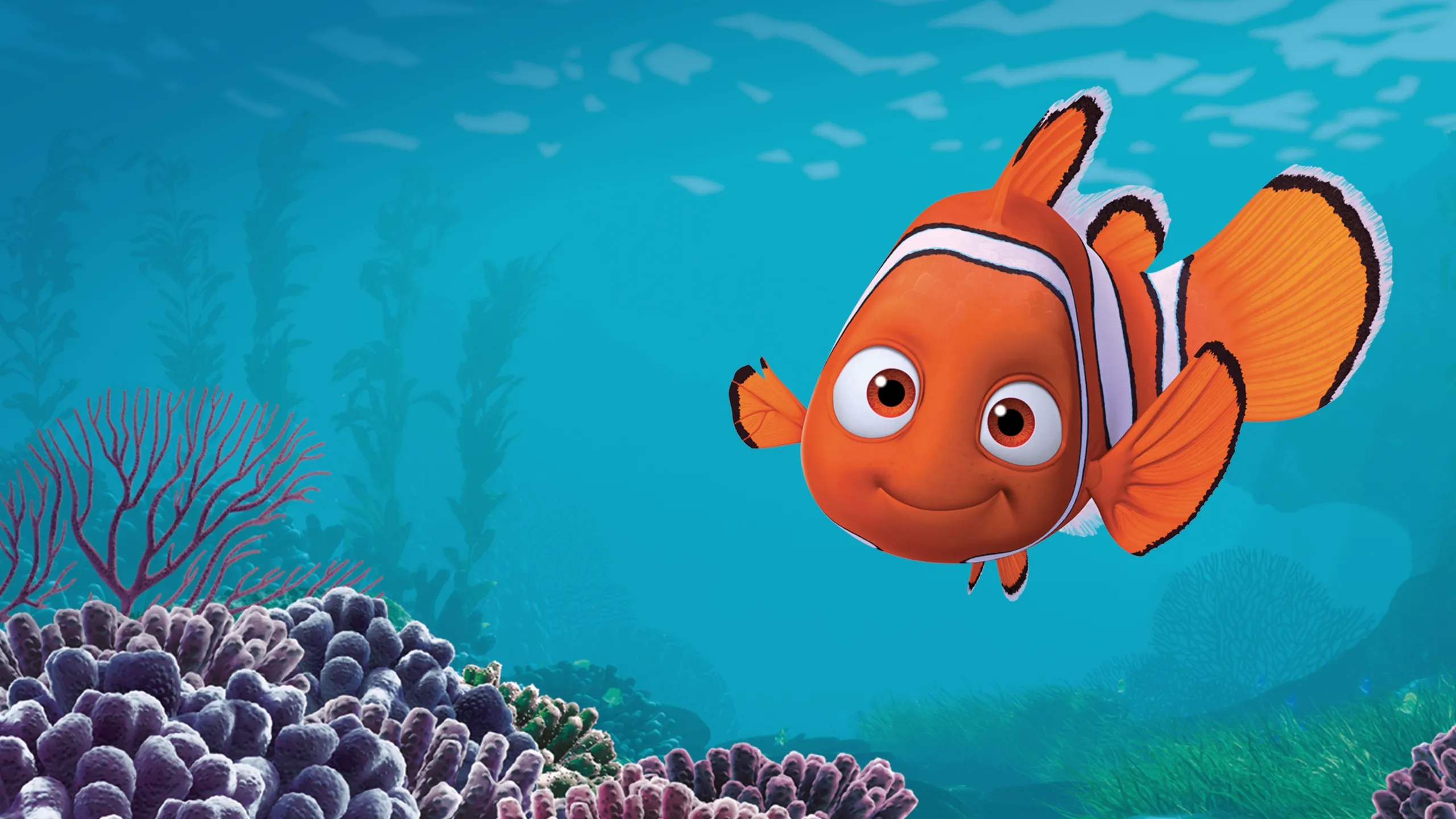 Buscando a Nemo