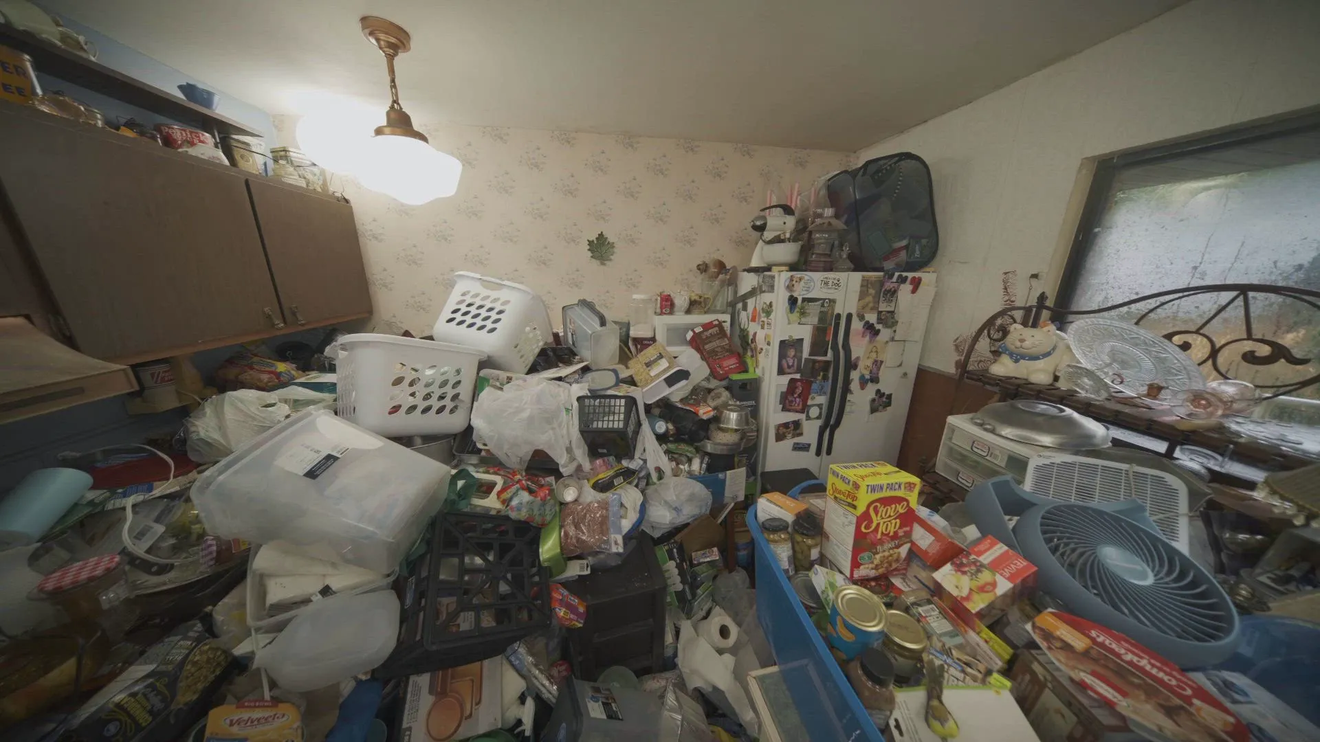 thumbnail - S16:E3 Terri