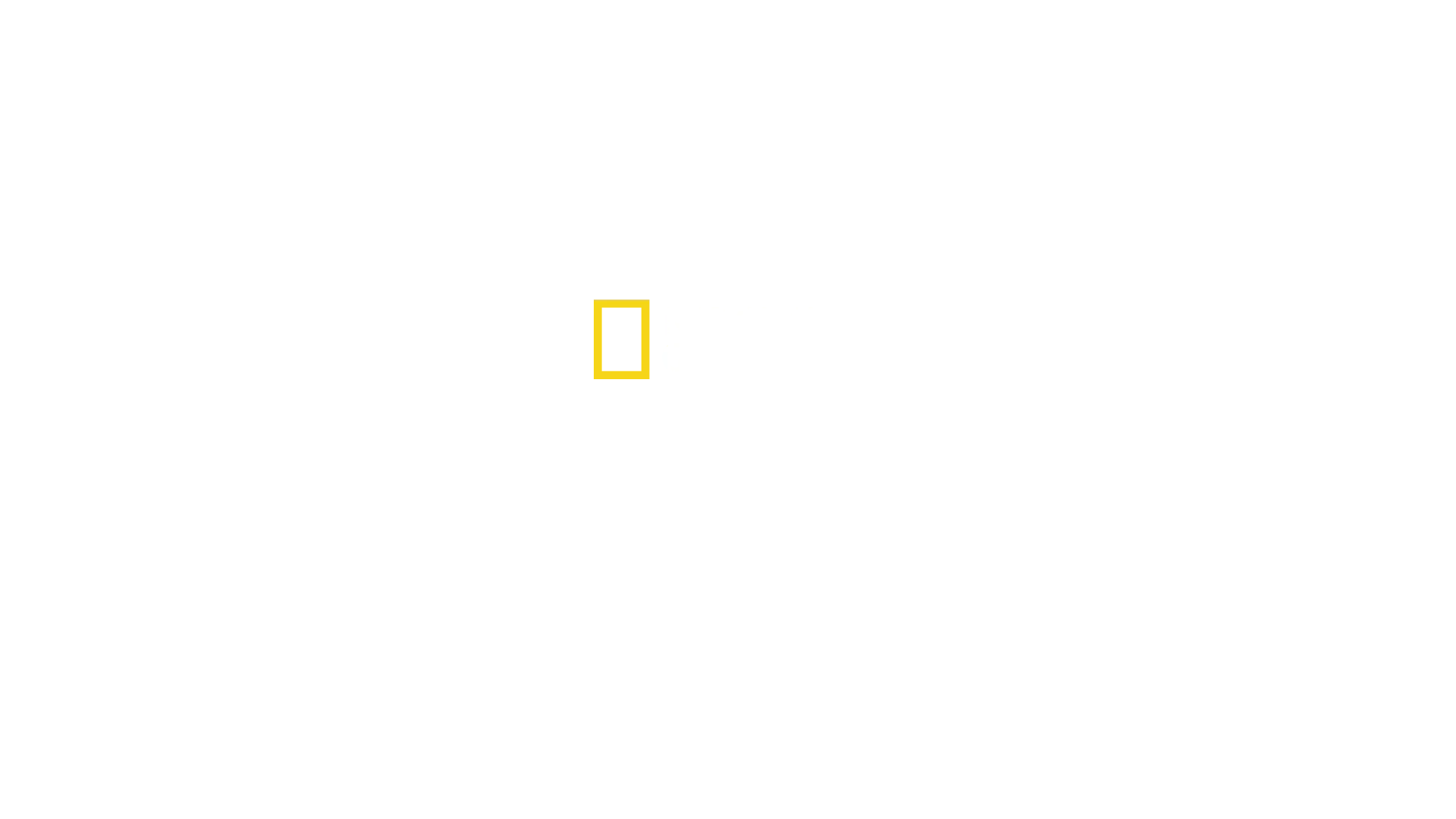 Flyhavarikommisjonen