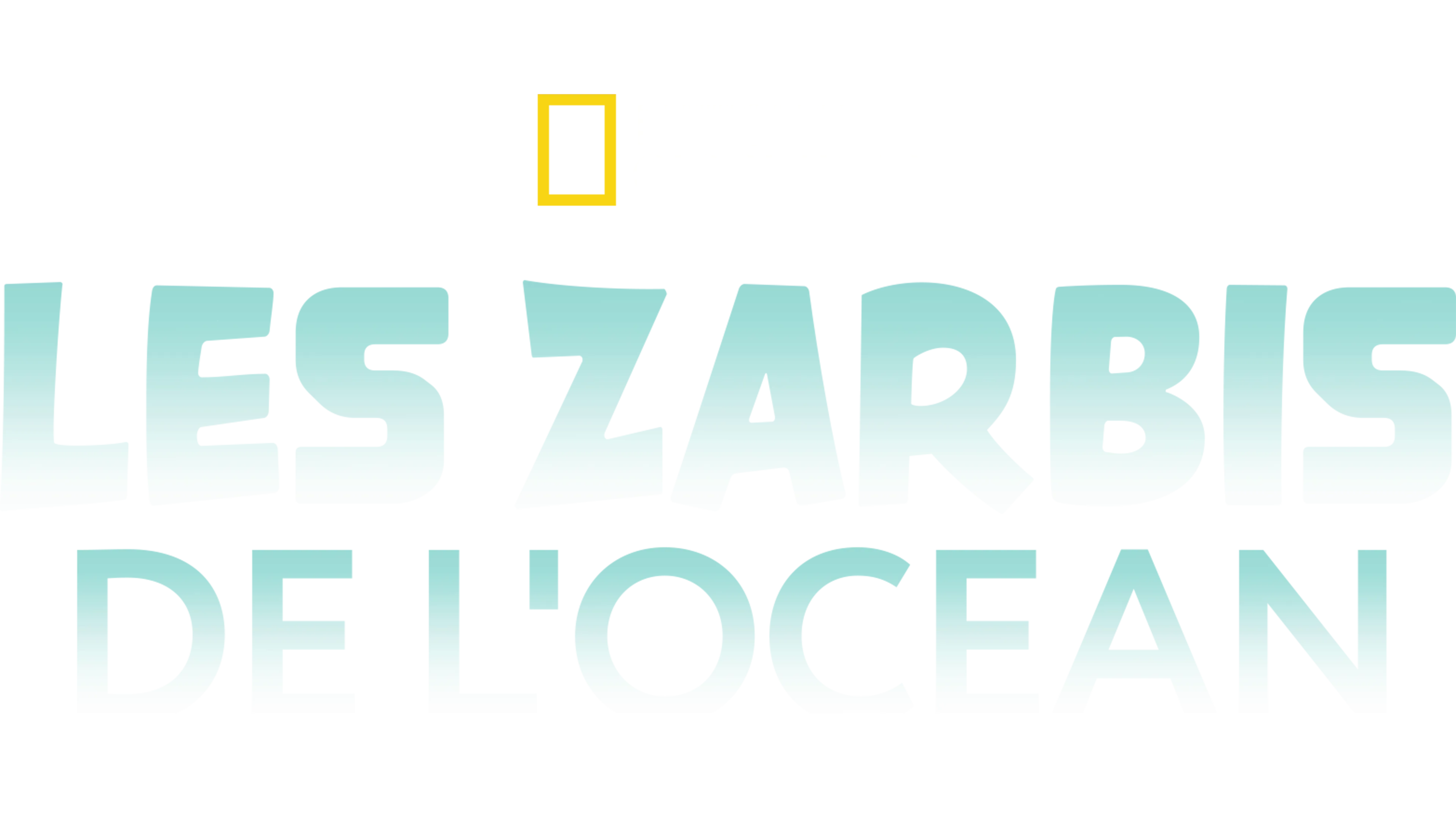 Les zarbis de l'océan