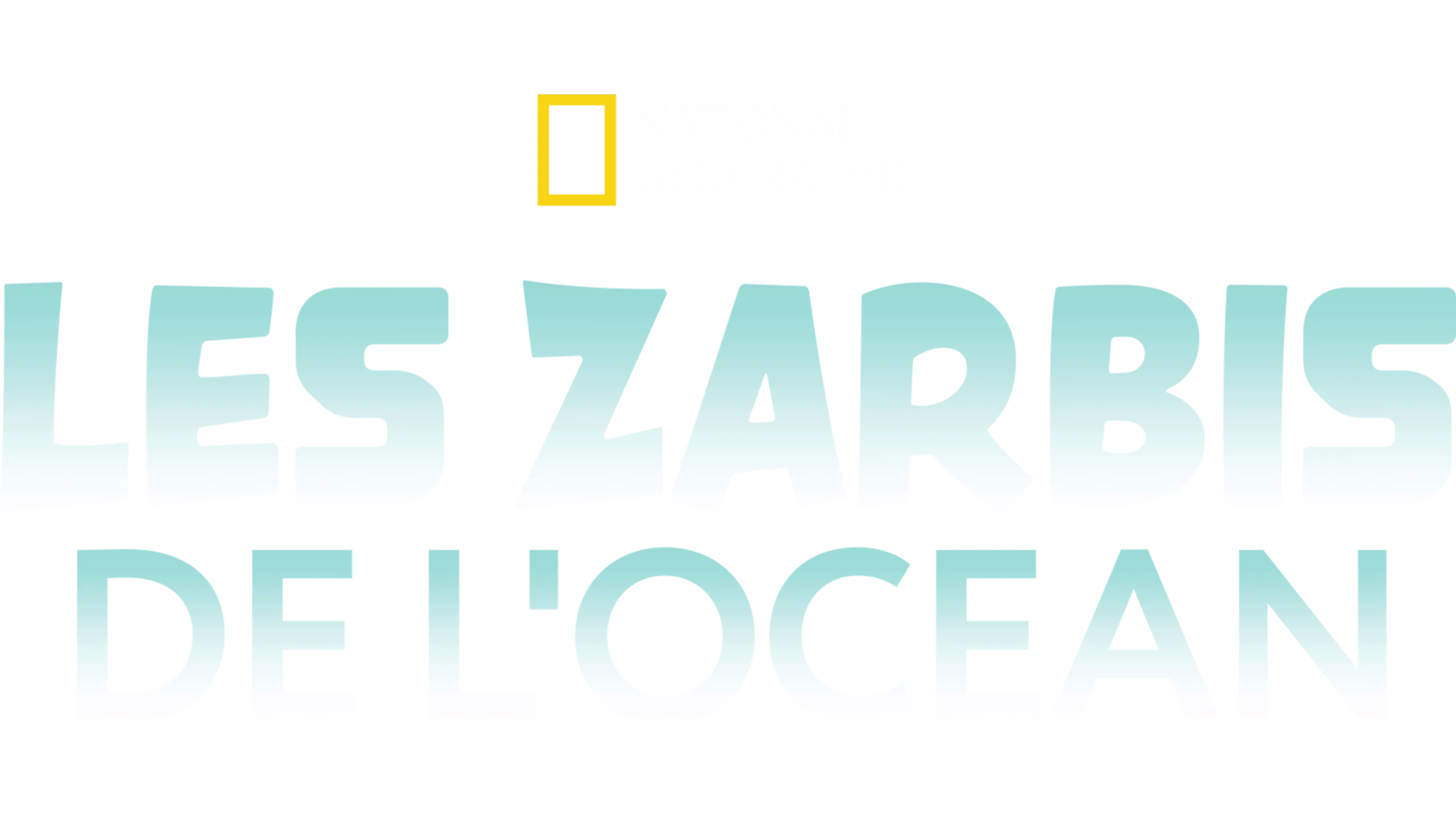 Les zarbis de l'océan