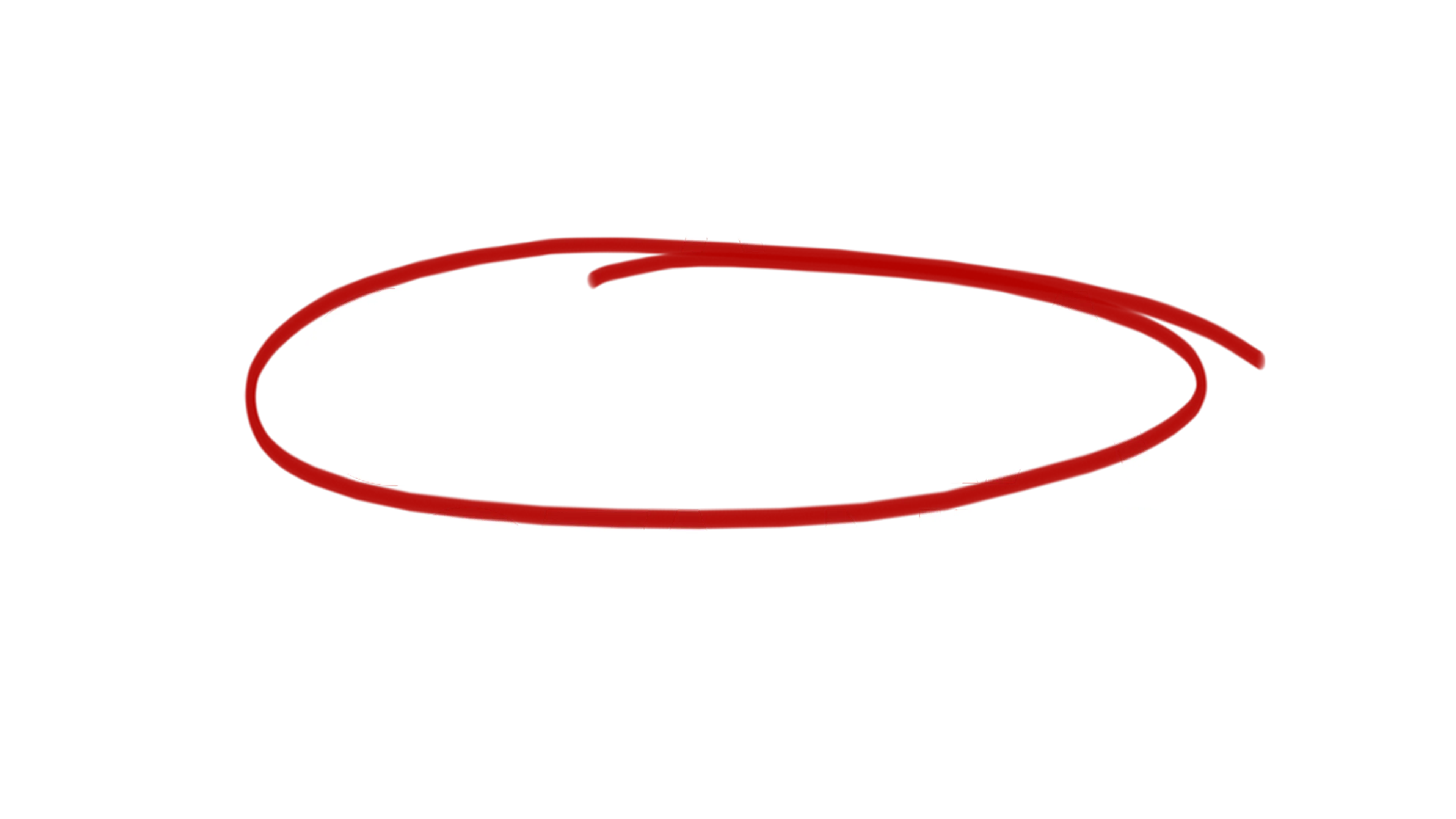 A Outra Garota Negra