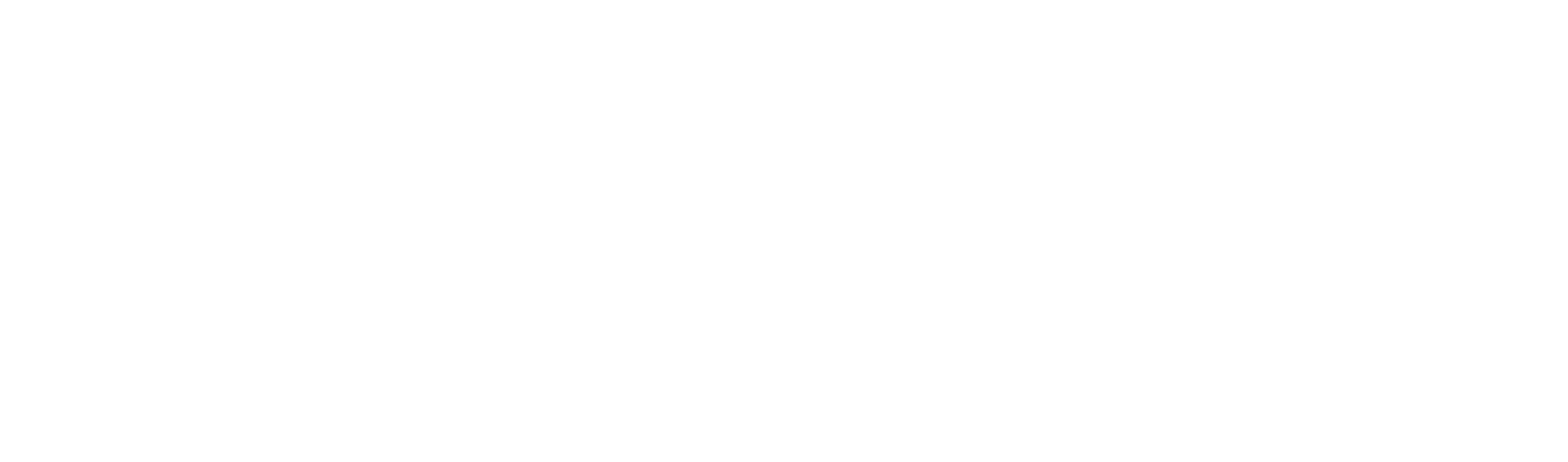 Arayış : la recherche
