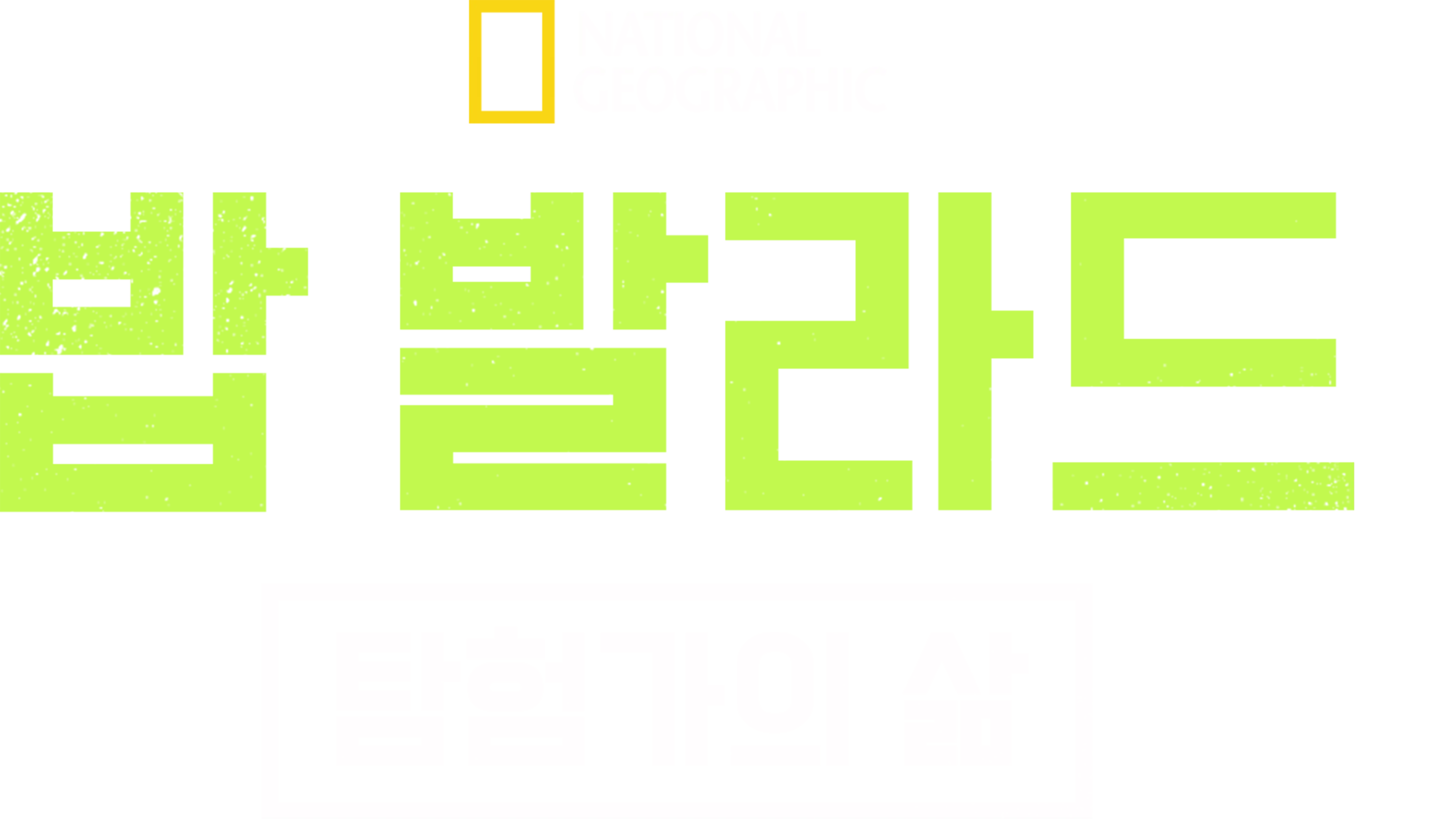밥 발라드: 탐험가의 삶
