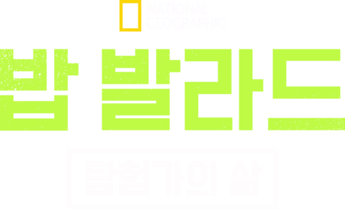 밥 발라드: 탐험가의 삶