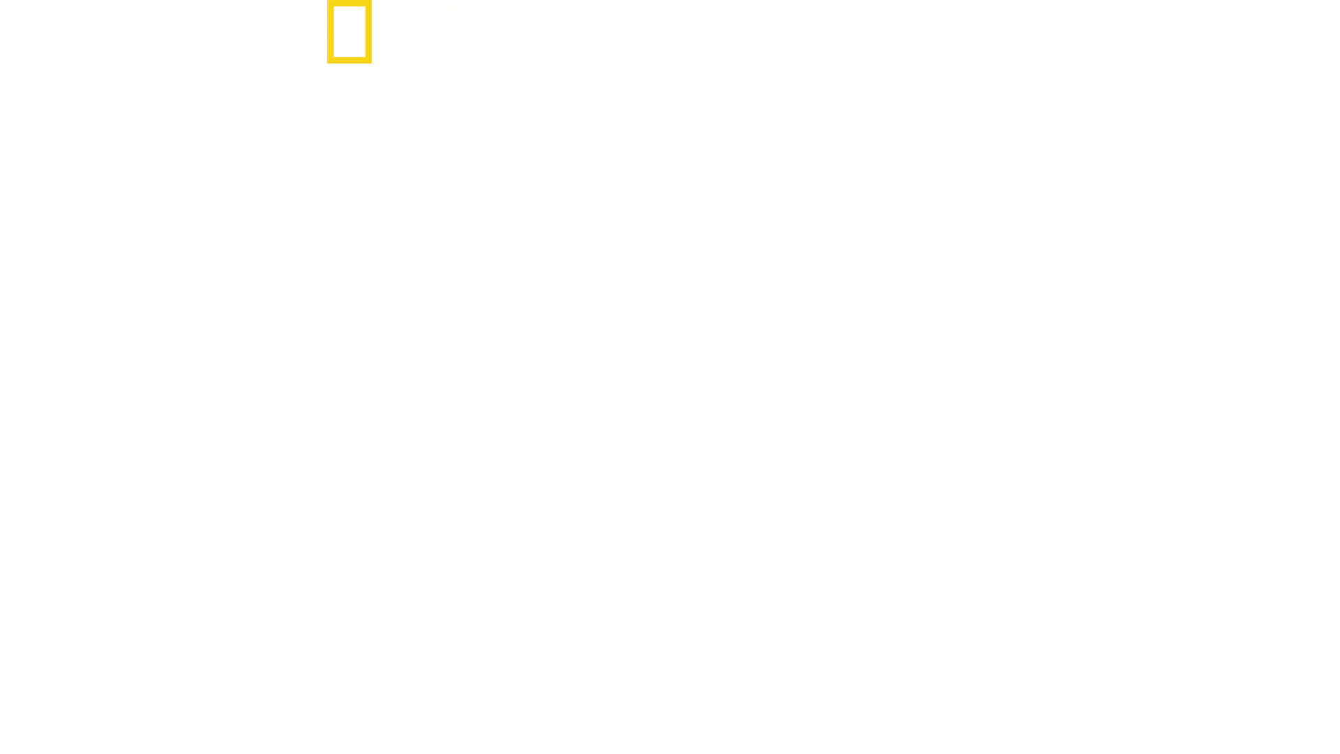 El último bastión de Hitler