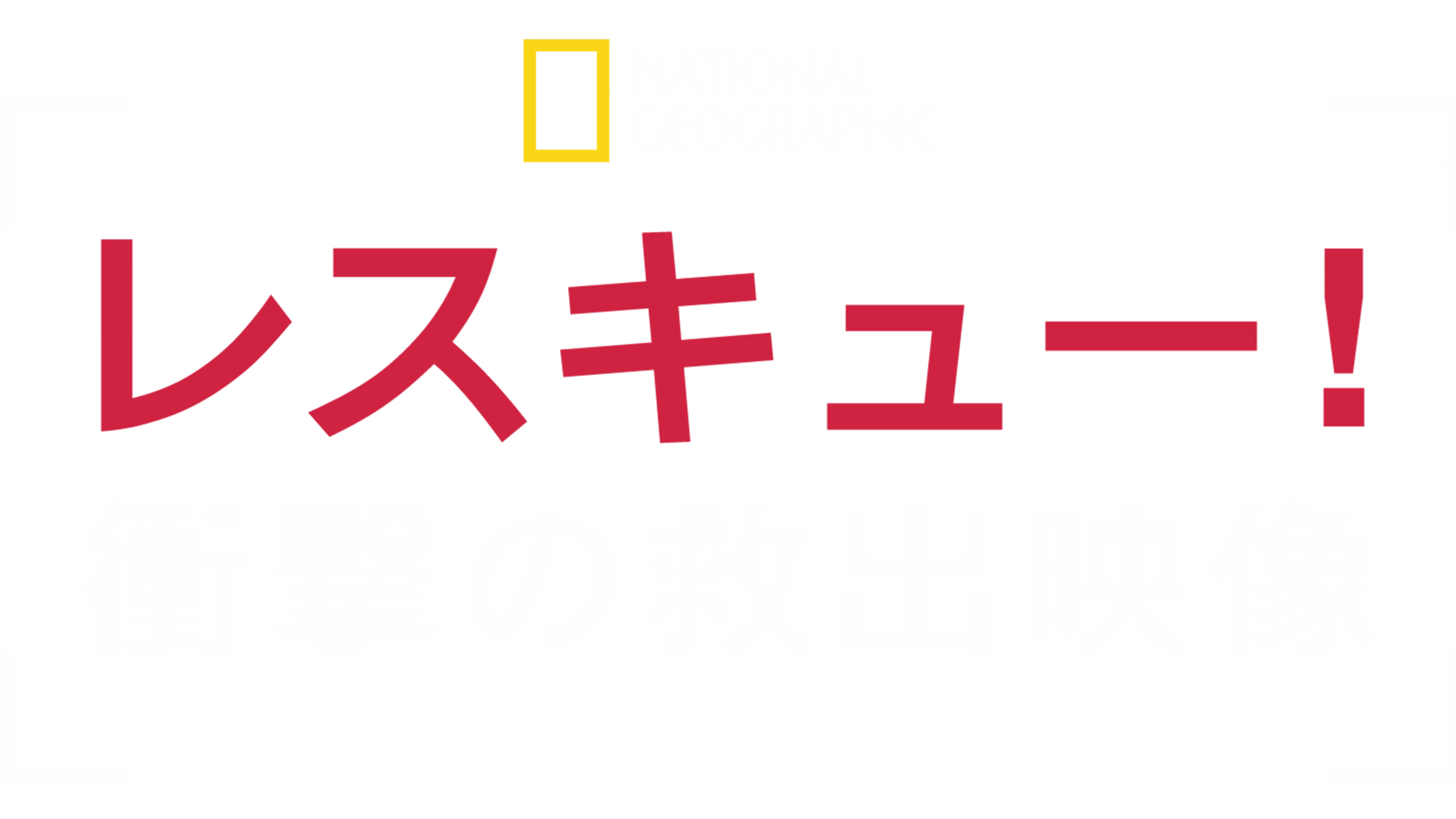 レスキュー！衝撃の救出映像