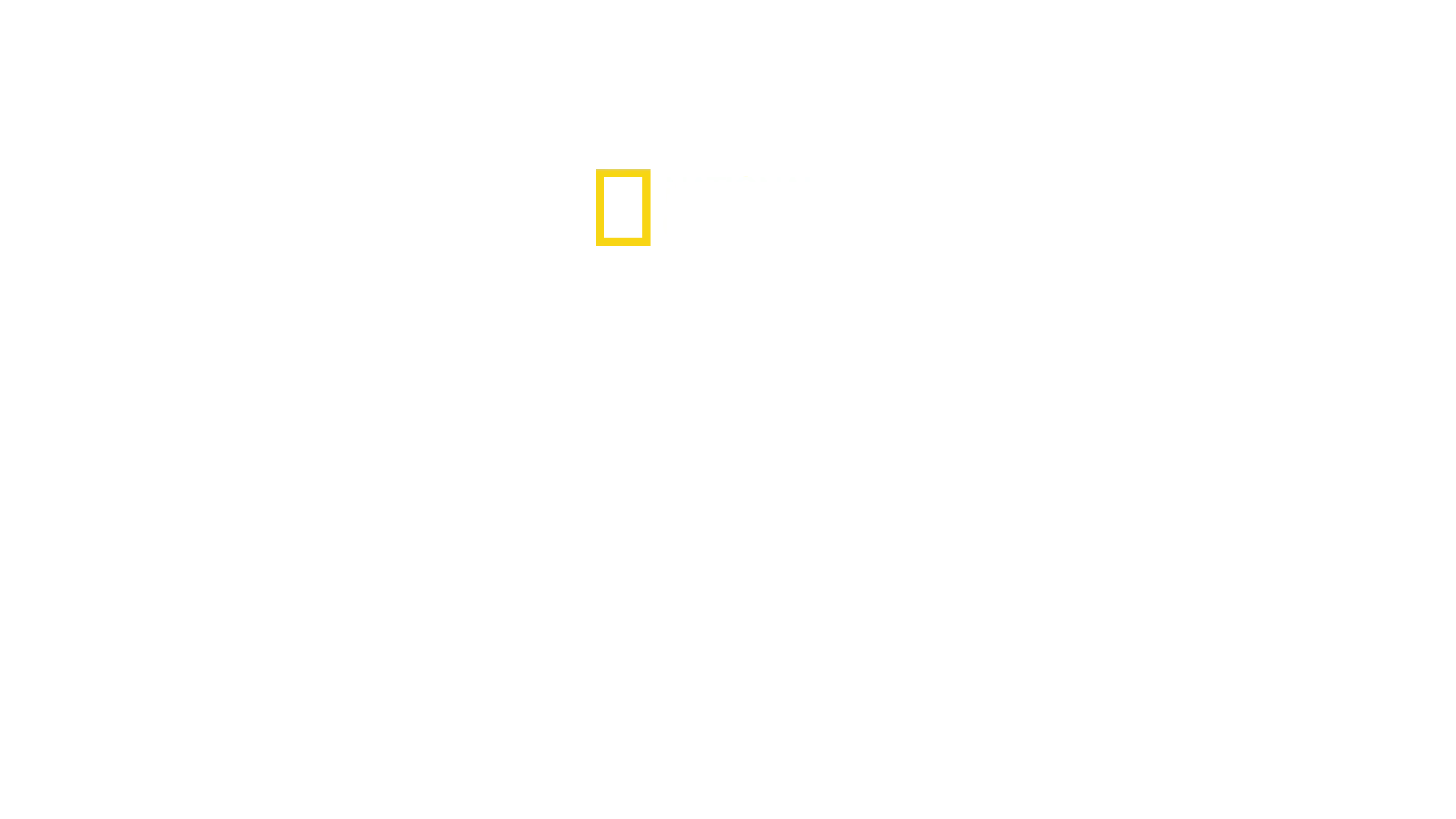 Salakuljettajat satimeen