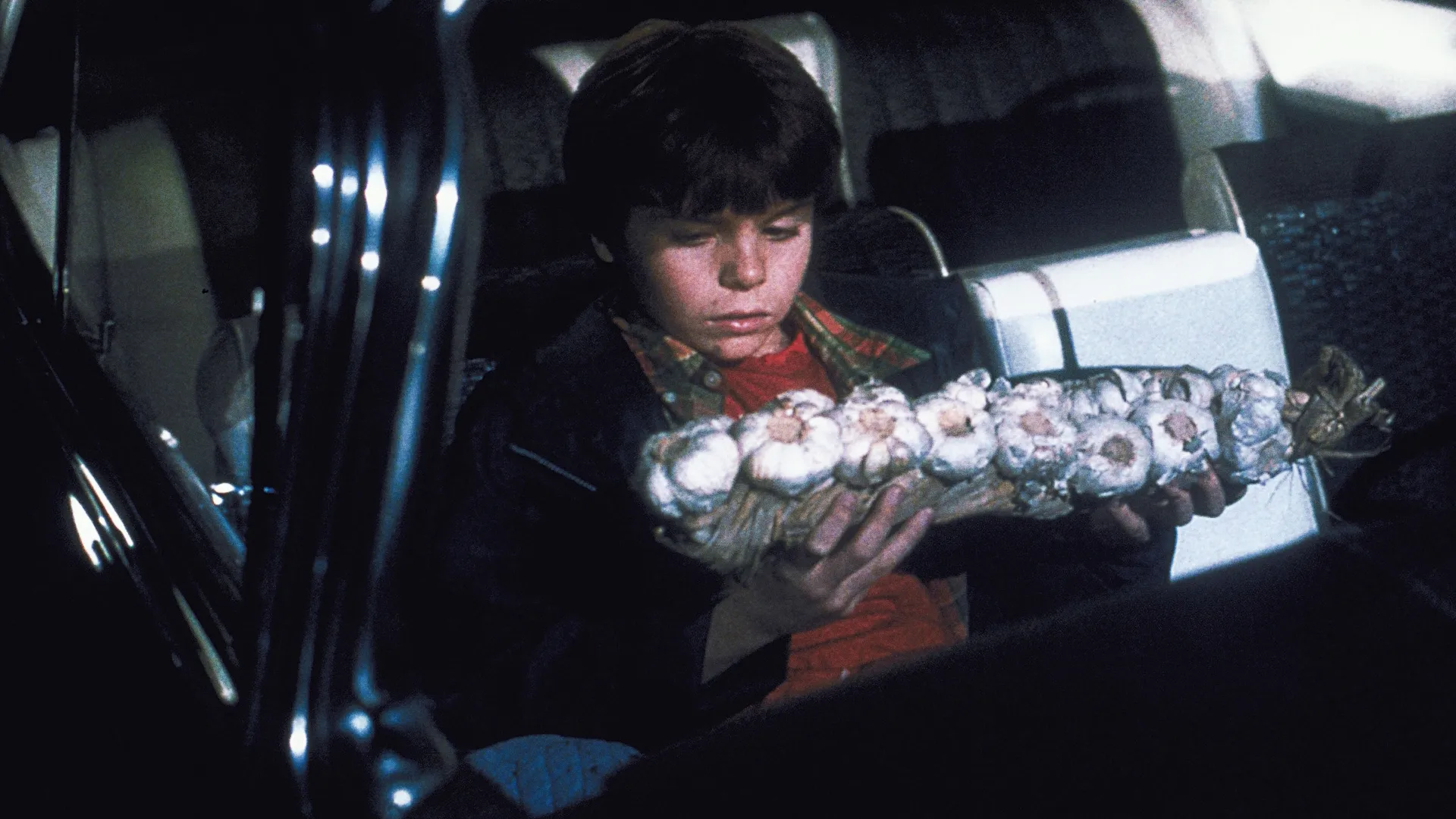 Taylor Hansen (Myles Jeffrey) in Mom's Got a Date with a Vampire, Disney