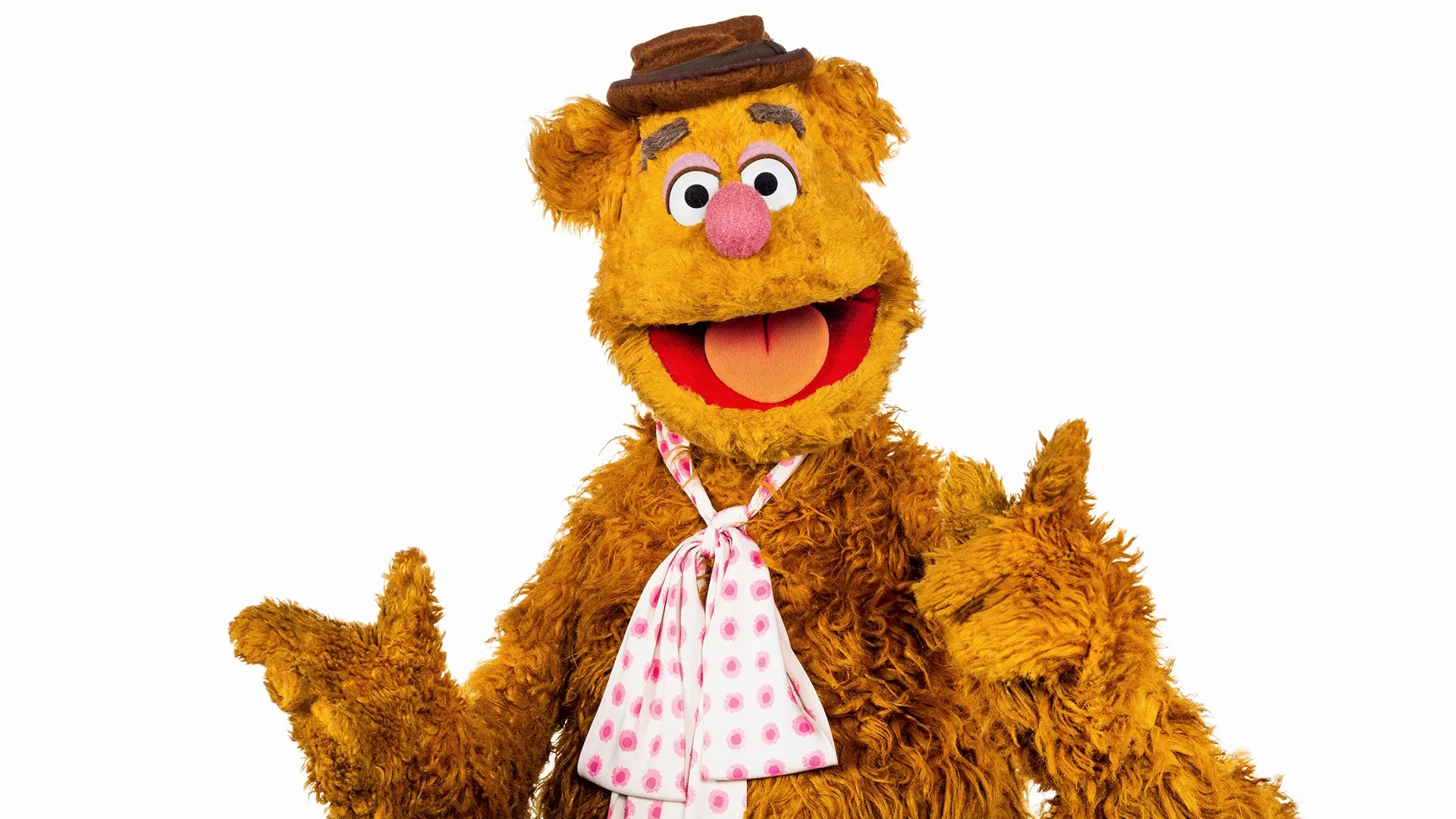 Fozzie Bear on a white background