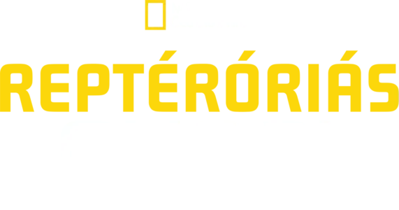 Reptéróriás: Dubai