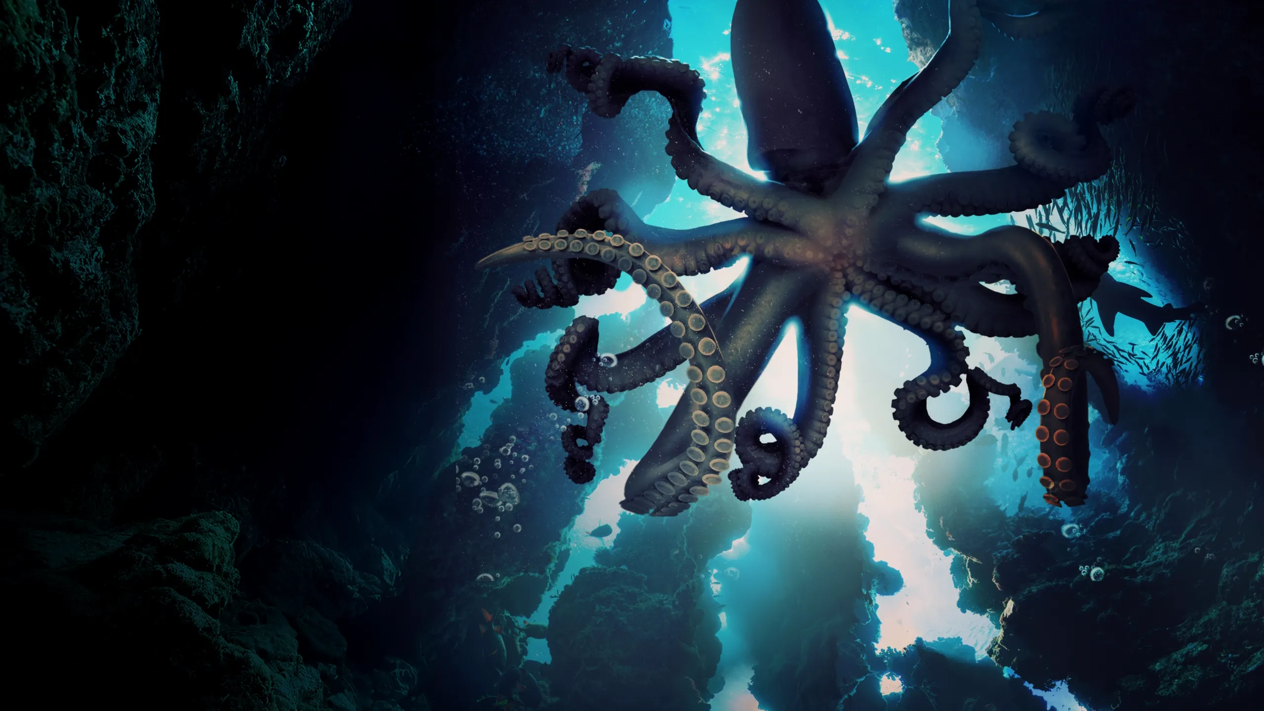 MonsterQuest: Predators of the Deep