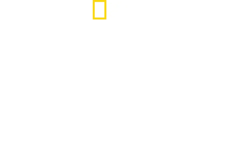克里斯漢斯沃的鯊魚奇遇
