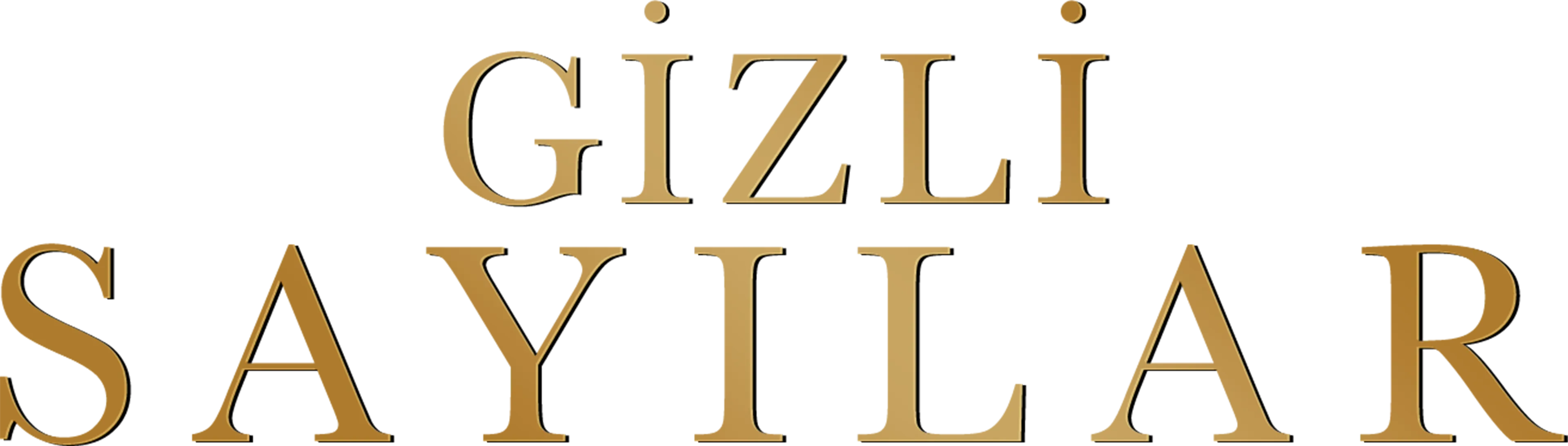 Gizli Sayılar