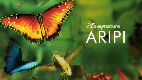thumbnail - Aripi