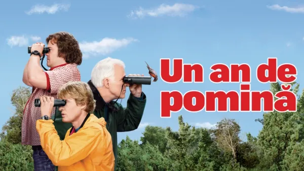 thumbnail - Un an de pomina