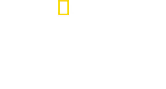 알래스카의 위험한 동물들