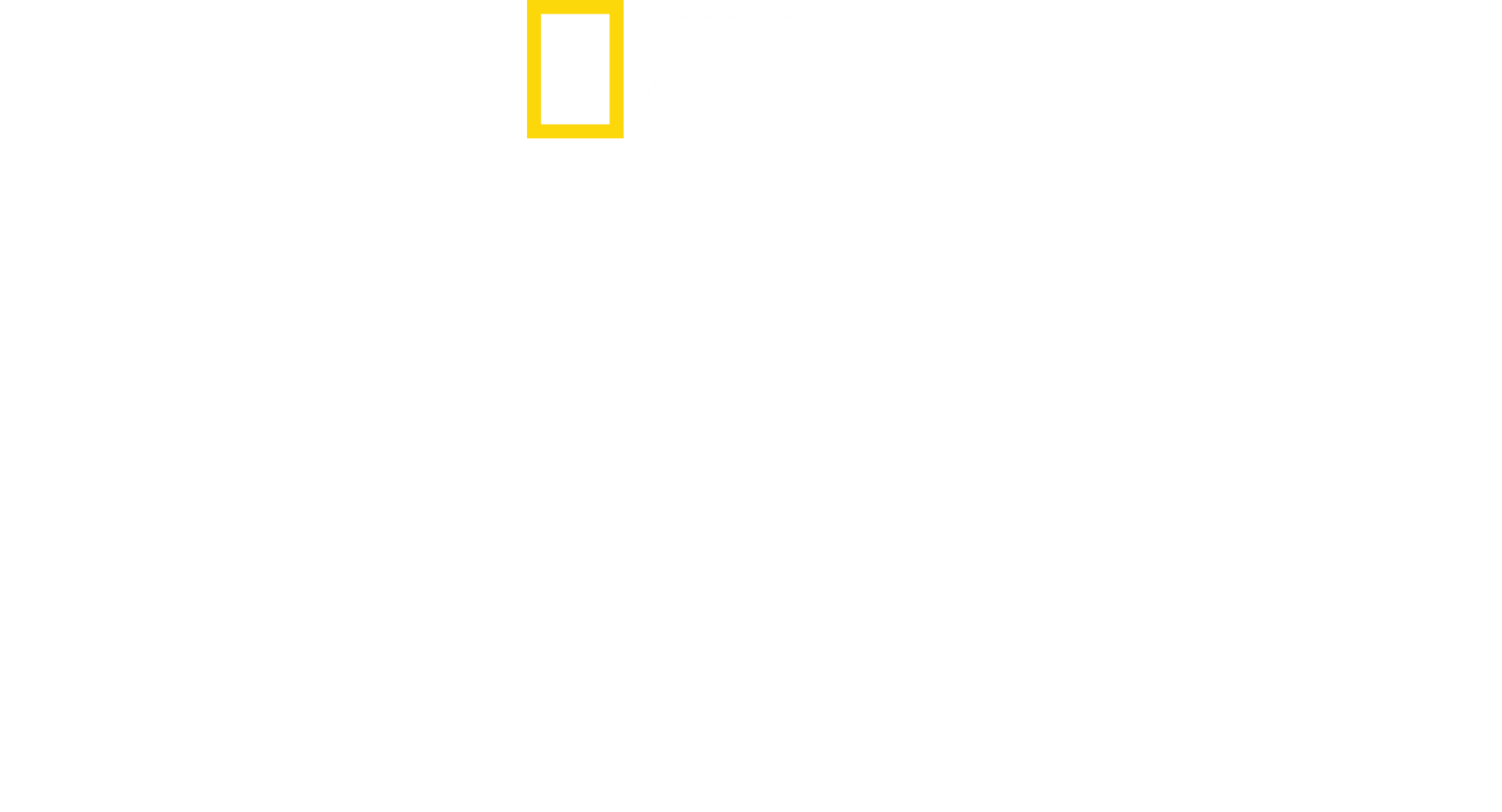 알래스카의 위험한 동물들
