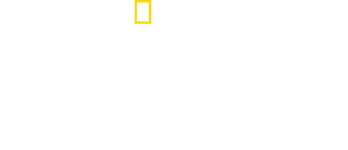 艾力克斯霍諾德的北極之巔