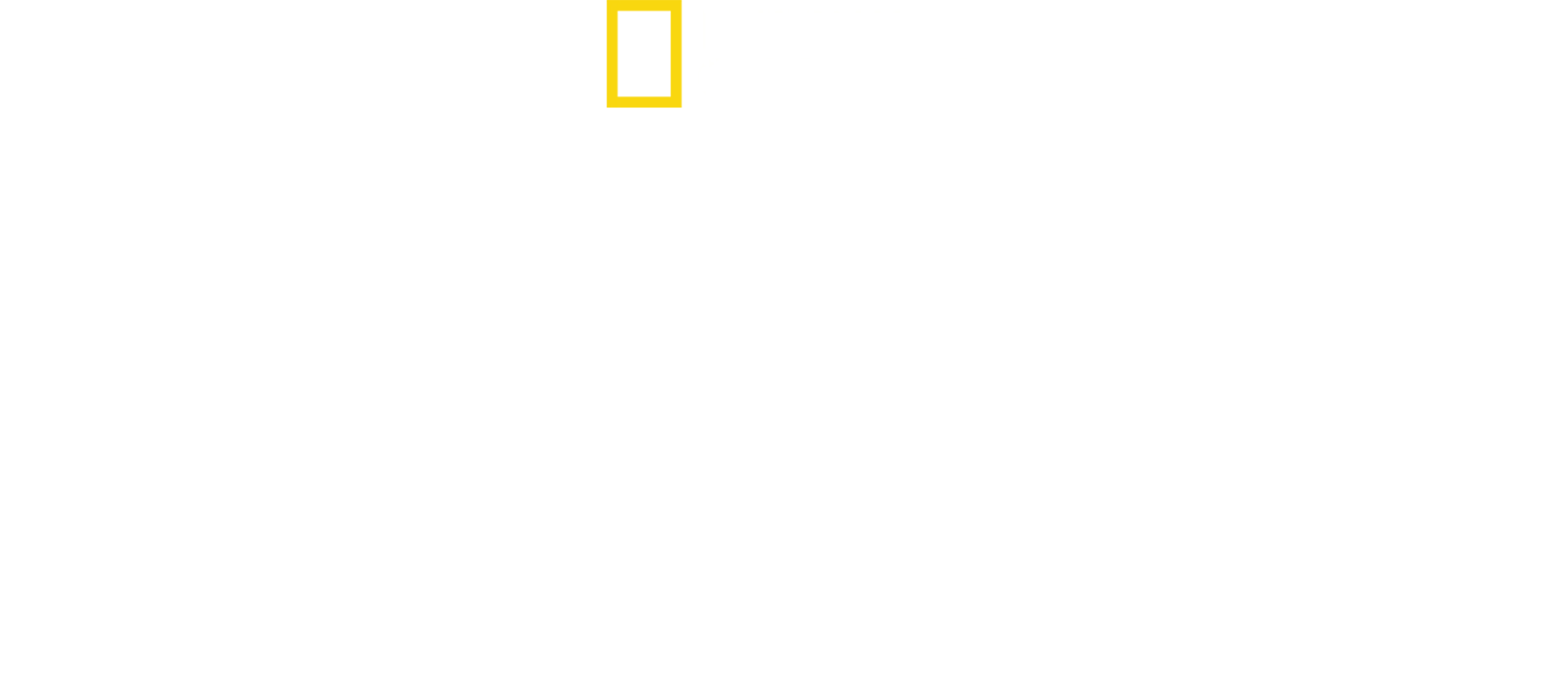 艾力克斯霍諾德的北極之巔