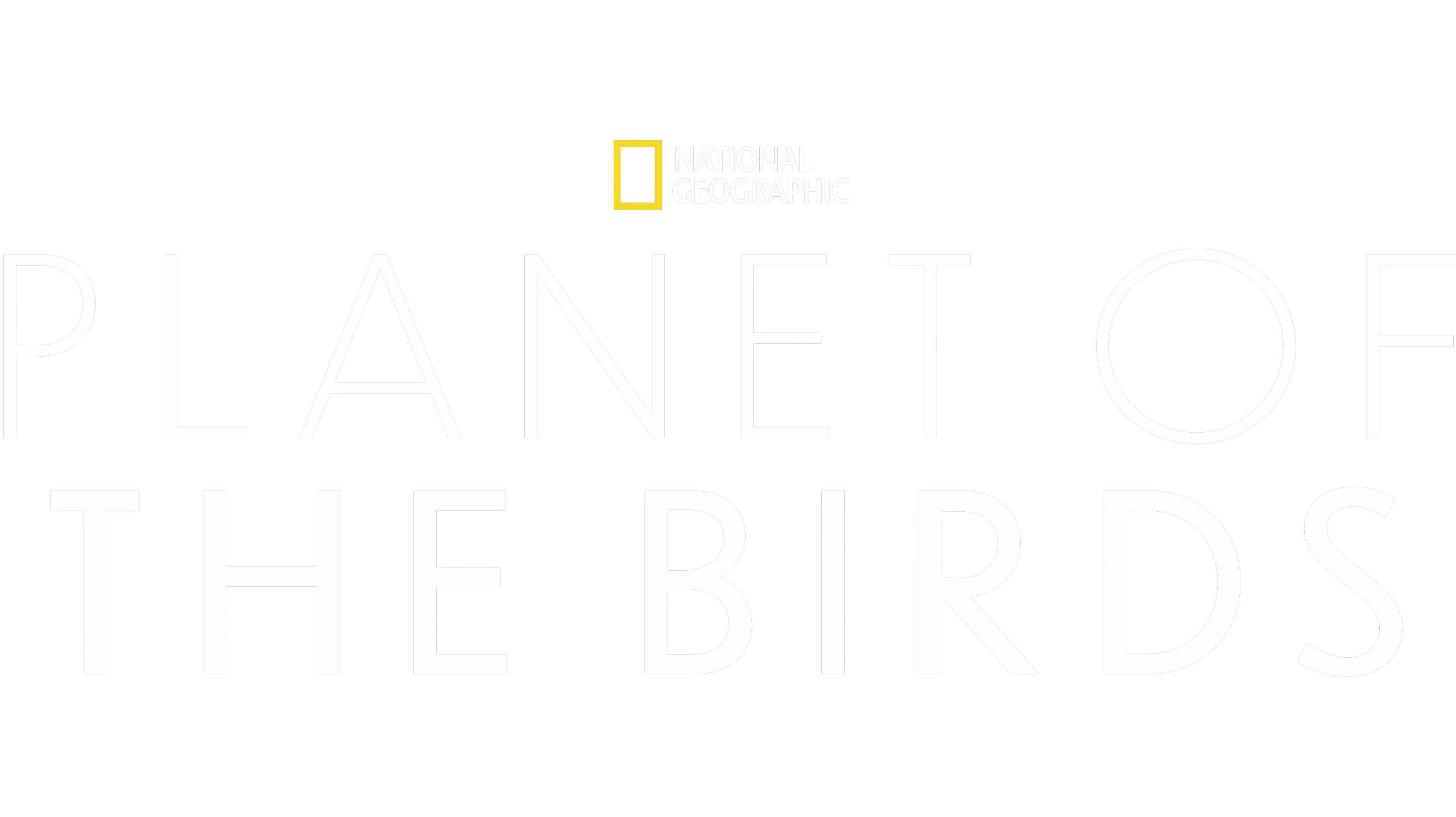 Planet of the Birds