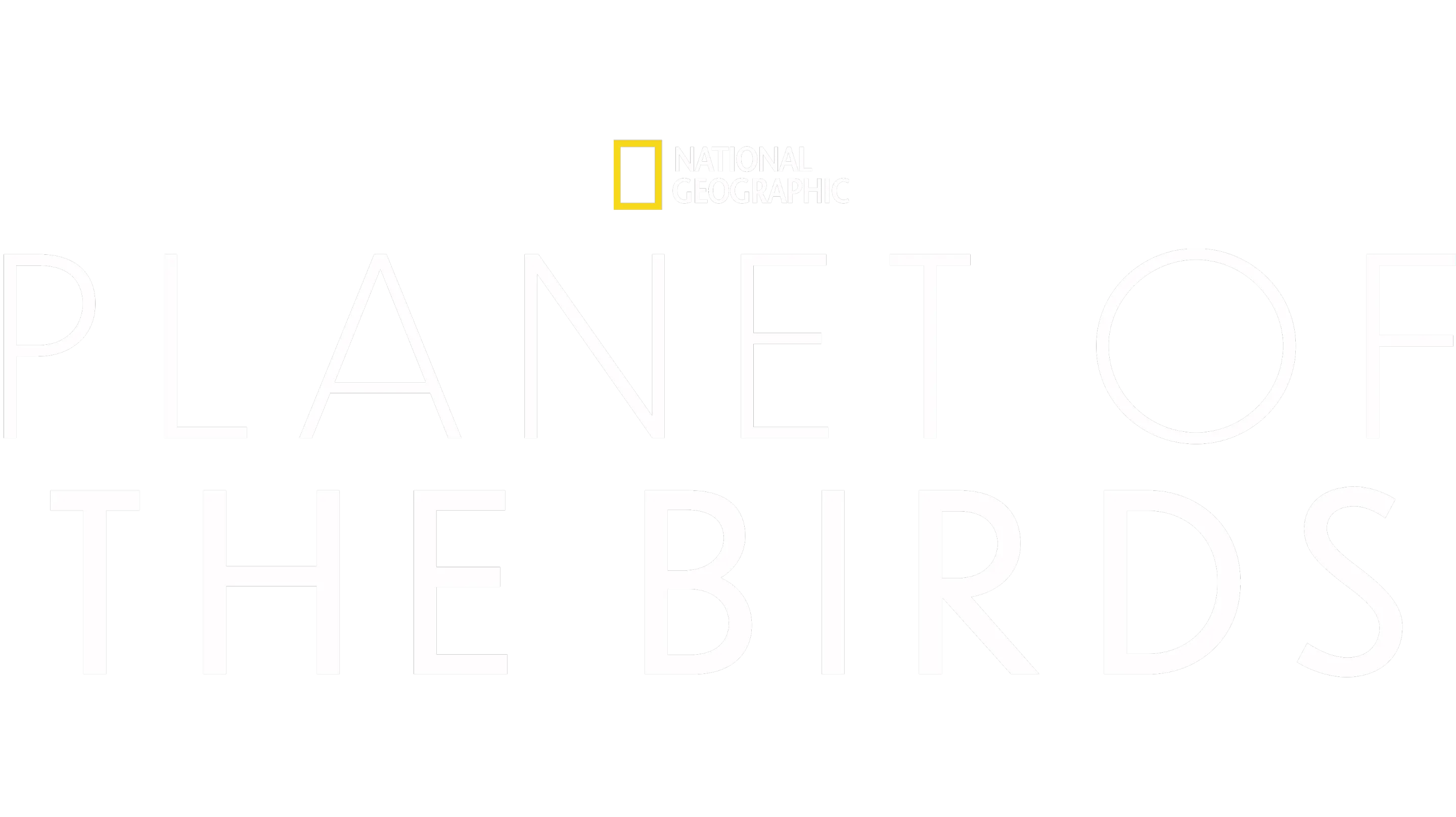 Planet of the Birds