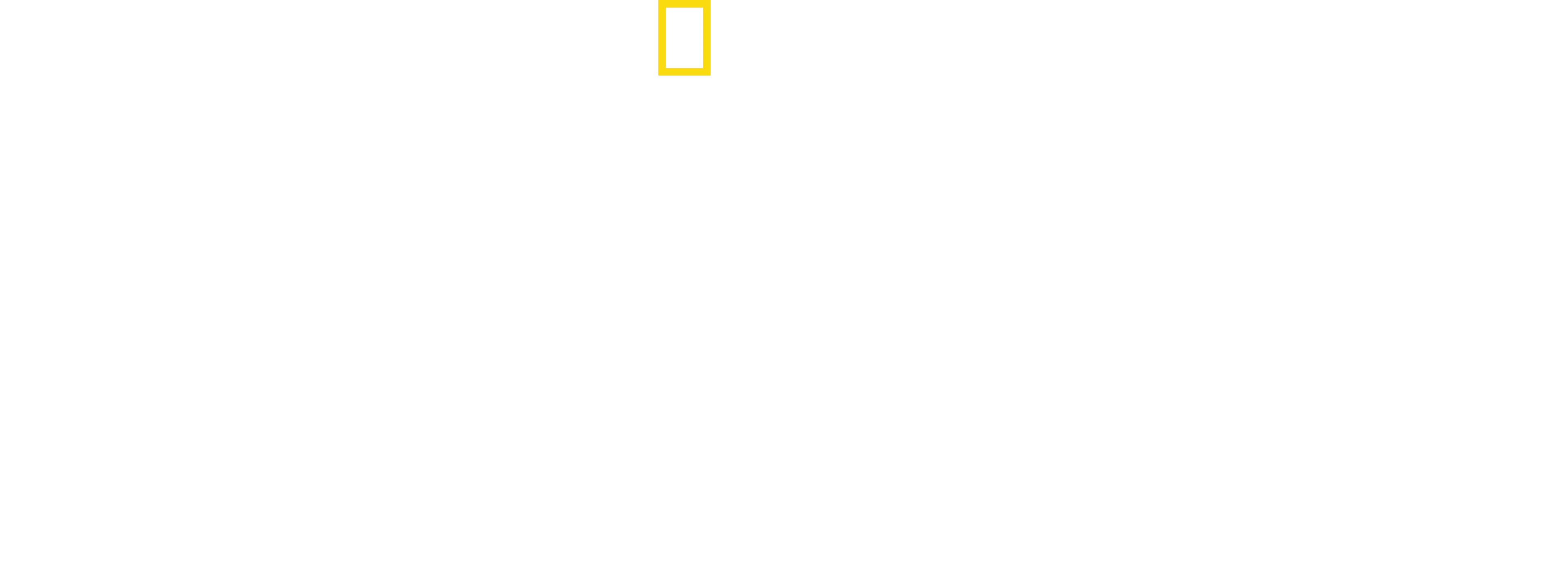Planet of the Birds