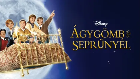 thumbnail - Ágygömb és seprűnyél