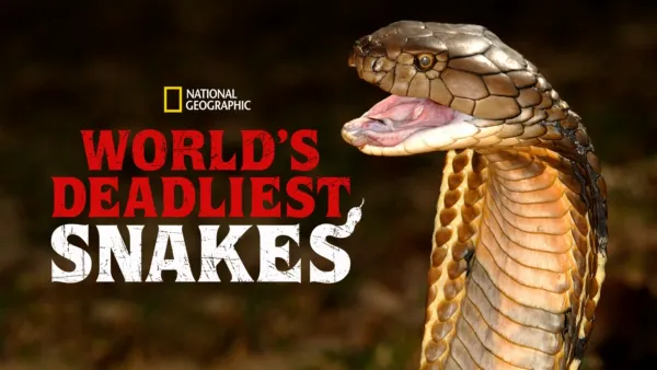 thumbnail - World's Deadliest Snakes