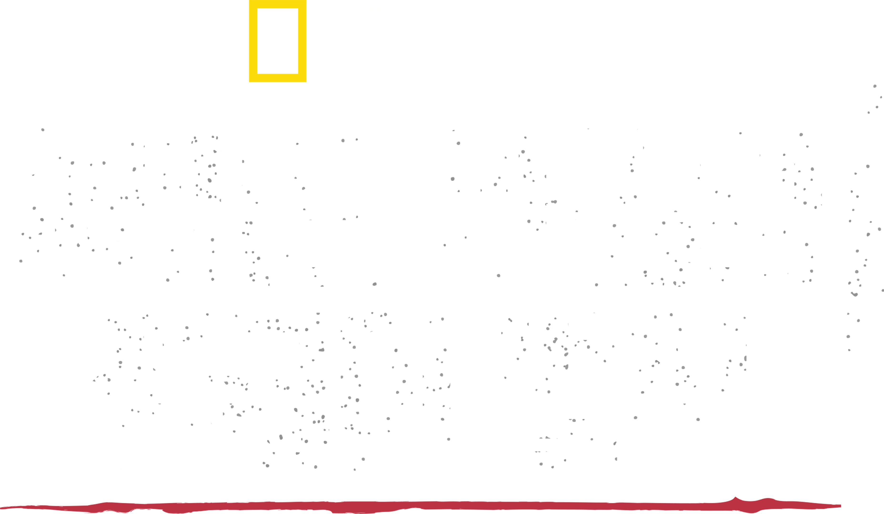 헤이즌 아델의 정글의 법칙